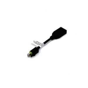 Adapter Mini DisplayPort (m) => DisplayPort (ž) 10cm PNY z zaklepom